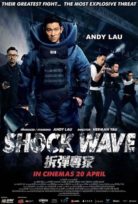 Bıçak Sırtında – Shock Wave izle Türkçe Dublaj